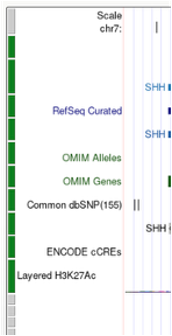 Green left-side button bar indicating QuickLift tracks in the Genome Browser